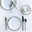 Platinum Edge Bone China Dinner Plate-784577302