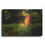 «Leaf And Ant» par Philippe Sainte