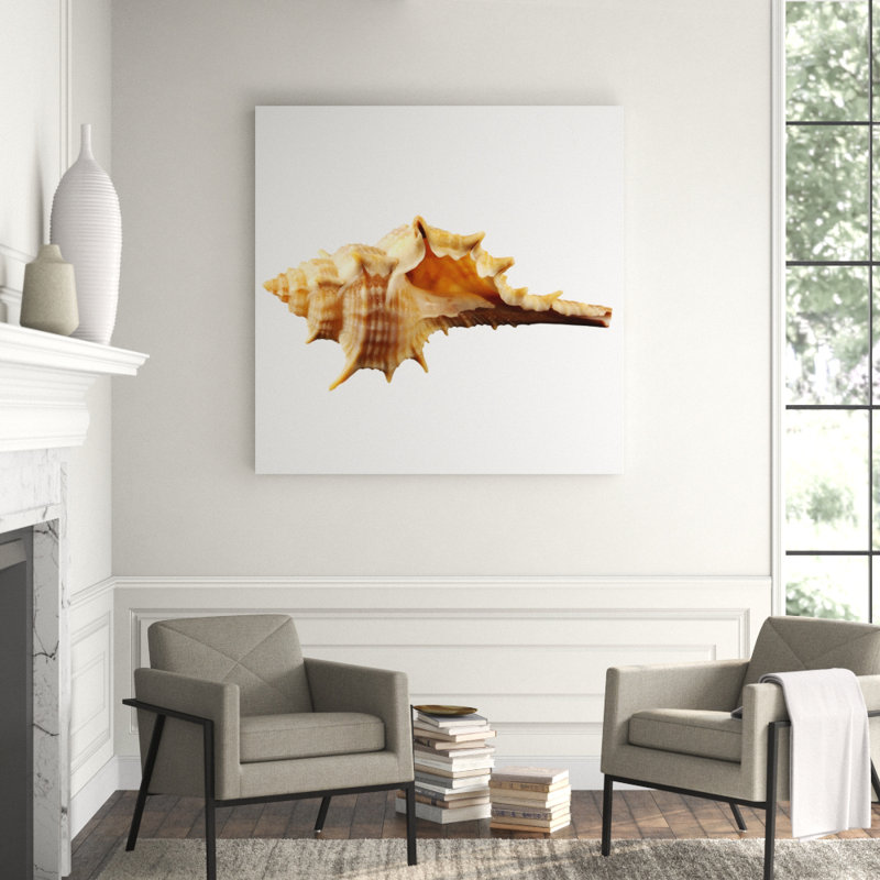 Sea Shell Horn Print, 56" H x 56" W x 2.5" D, Acrylic