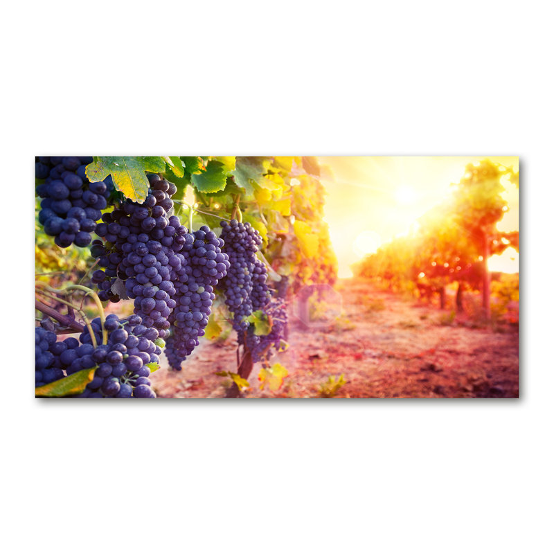 Vines - Wrapped Canvas Print