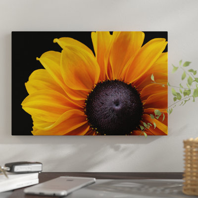 " Rudbeckia 'Indian Summer' " by Alyson Fennell
