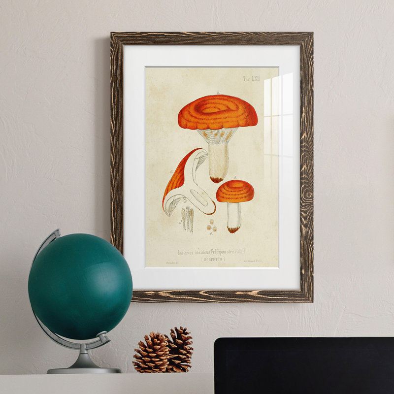 Champignon Variétés de qualité supérieure encadré mat - prêt à accrocher, H 44 po x l 31 po x P 1 po, Noyer