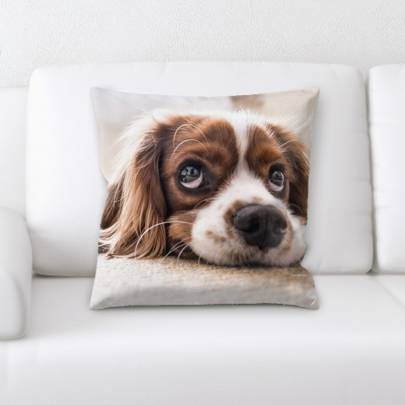 Coussin pour chien