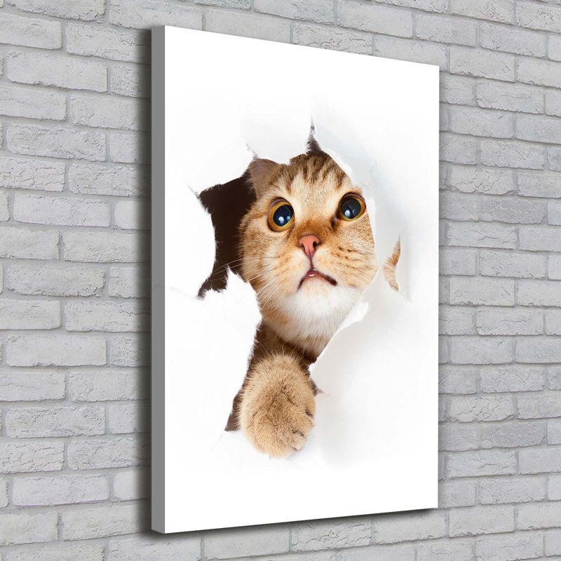 Cat - Wrapped Canvas Print