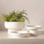 Encircle Tazza-60070824-64114110