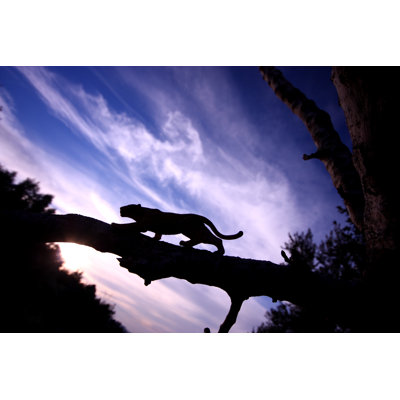 Leopard Silhouette - Wrapped Canvas Print