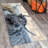 Floral Symphony Non-Woven Soft Printed Rug Featuring Vibrant Colors and Intricate Patterns for a Delightful Blend of Classic and Contemporary Aesthetics-114329818