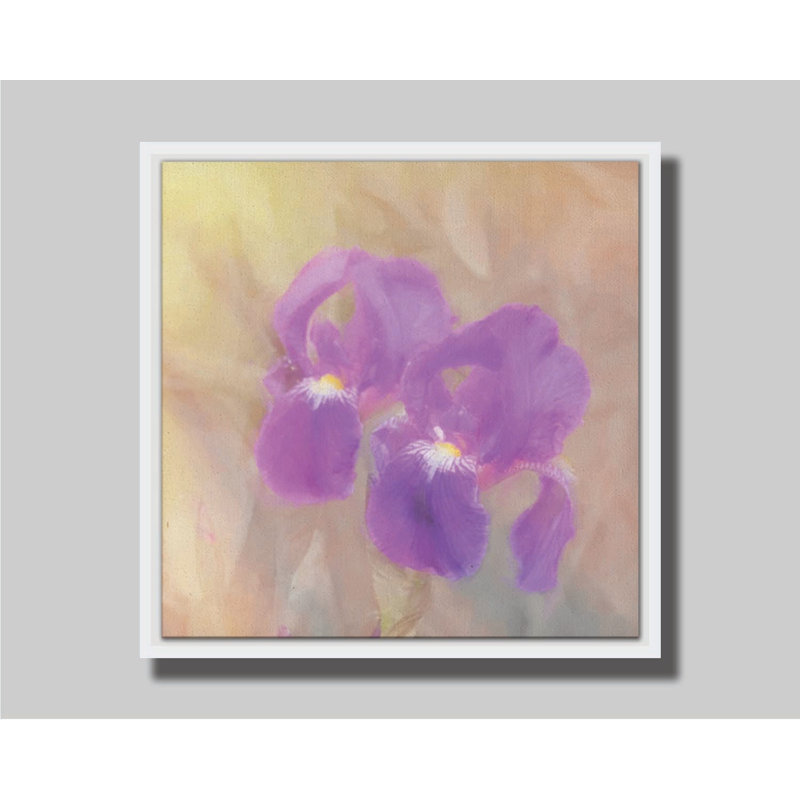 Iris peint par Hal Halli. Estampe numérique, H 30,5 po x l 30,5 po, Impression encadrée sans passe-partout, Blanc
