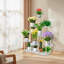 Plant Stand - Set of 6