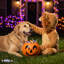 Porte-citrouille d'Halloween Peavey