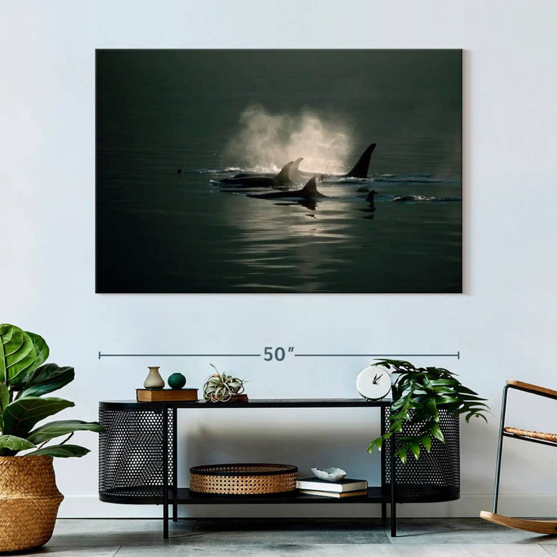 Brampt Orca Whale Pod, 34" H x 51" W