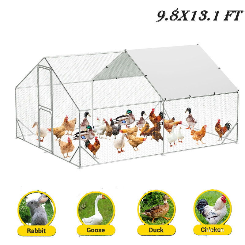 Gabriellina Walk In Chicken Run, H 78,74 po x l 118 po x P 157,49 po