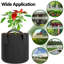 Tonecia Nursery Pot-955849022