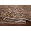Tapis oriental floral Anatolian All-Over 5 x 7