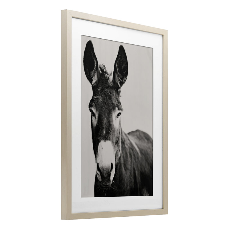 «Franz the Donkey», reproduction sous verre encadrée, design par Amy Carroll, H 23 po x l 17 po, Cadre de récolte en pin