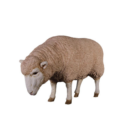 Merino Ewe Head Down Life Size Statue