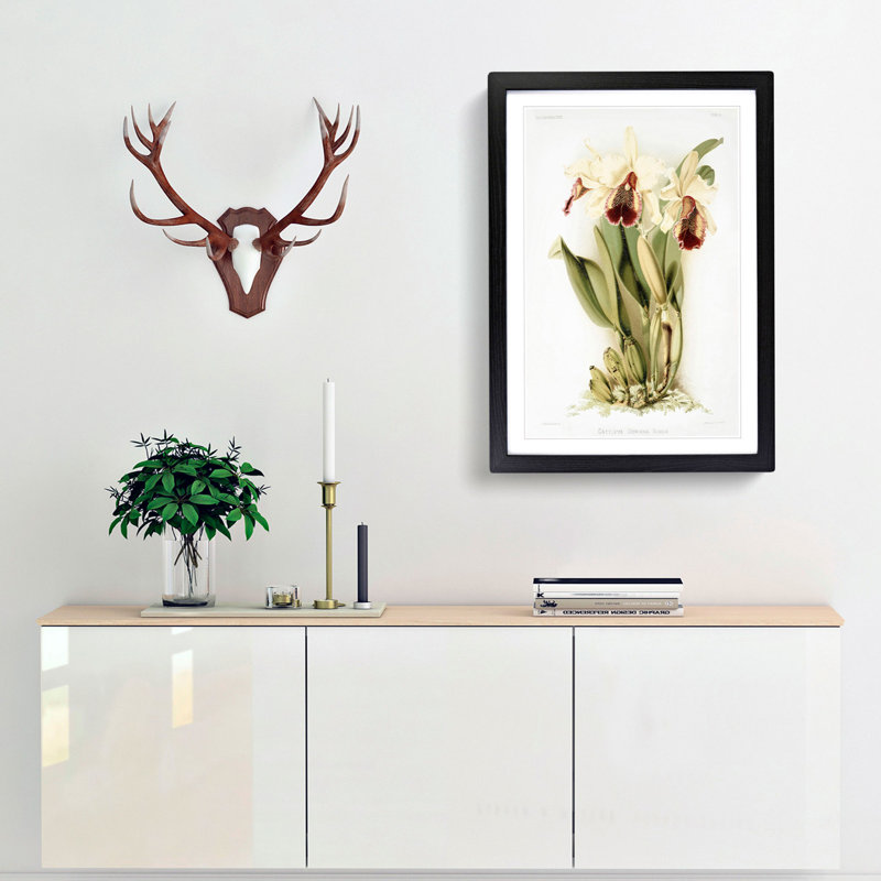 Magnolia Flowers Illustration Tab. 5 by Frederick Sander - Picture Frame Painting Print, Black, 60cm H x 40cm W x 2cm D