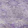 Premium Machine Washable Wayne AMF1102 Damask Rug