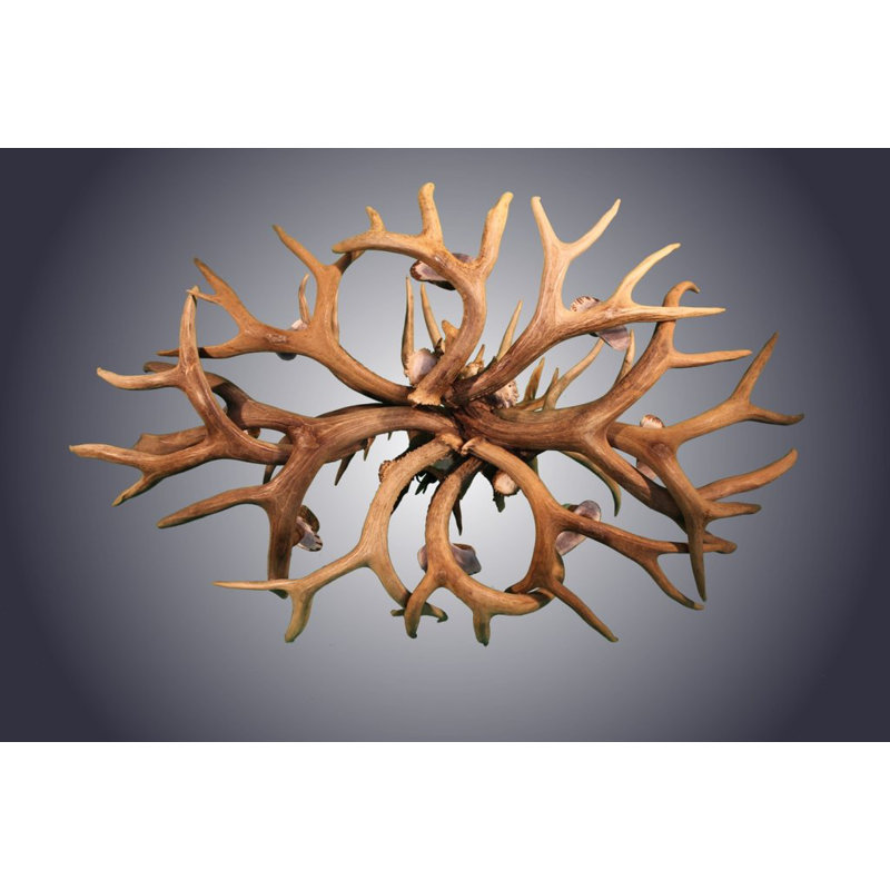 Lustre à roulettes 8 lumières mule/cerf antler, Blanchie au soleil