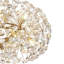 Lustre Halo