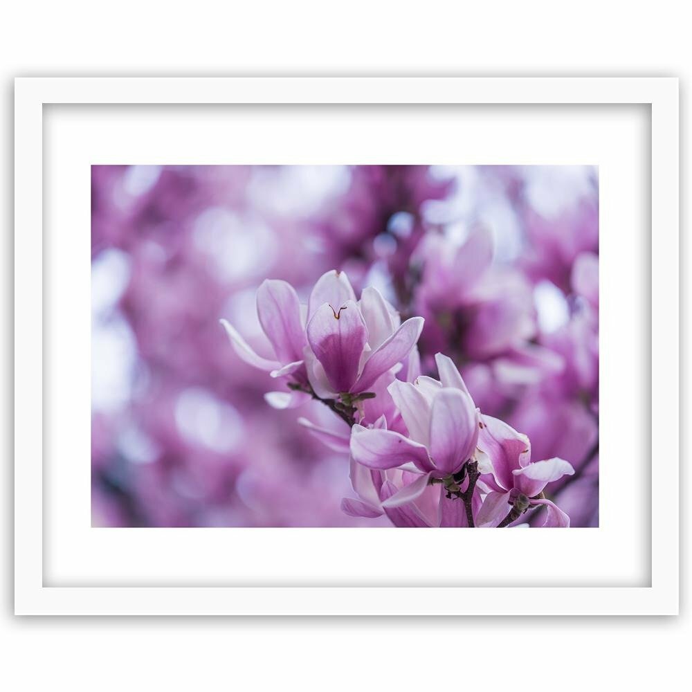 Gerahmter Fotodruck Magnolienblüten