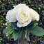 Arrangement floral rose-30611187-30955799