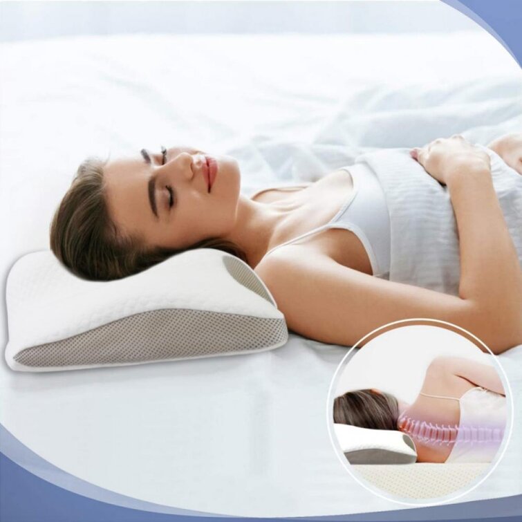 https://assets.wfcdn.com/im/67132888/resize-h755-w755%5Ecompr-r85/1525/152521247/Metta+Memory+Foam+Pillow.jpg