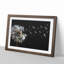 Dandelion Seeds Vol.10 - Picture Frame Graphic Art-62752856-62752858
