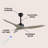 Artisha 50'' Ceiling Fan-684973093