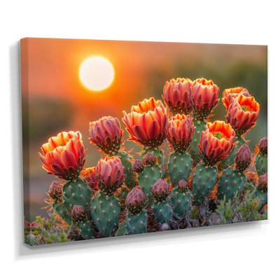 Kirsteni Blooming Cacti At Sunset I - cactus, art mural