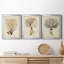 Esper Sea Fans IV - ensemble de 3 peintures sur toile encadrées-1921270027-1921270028