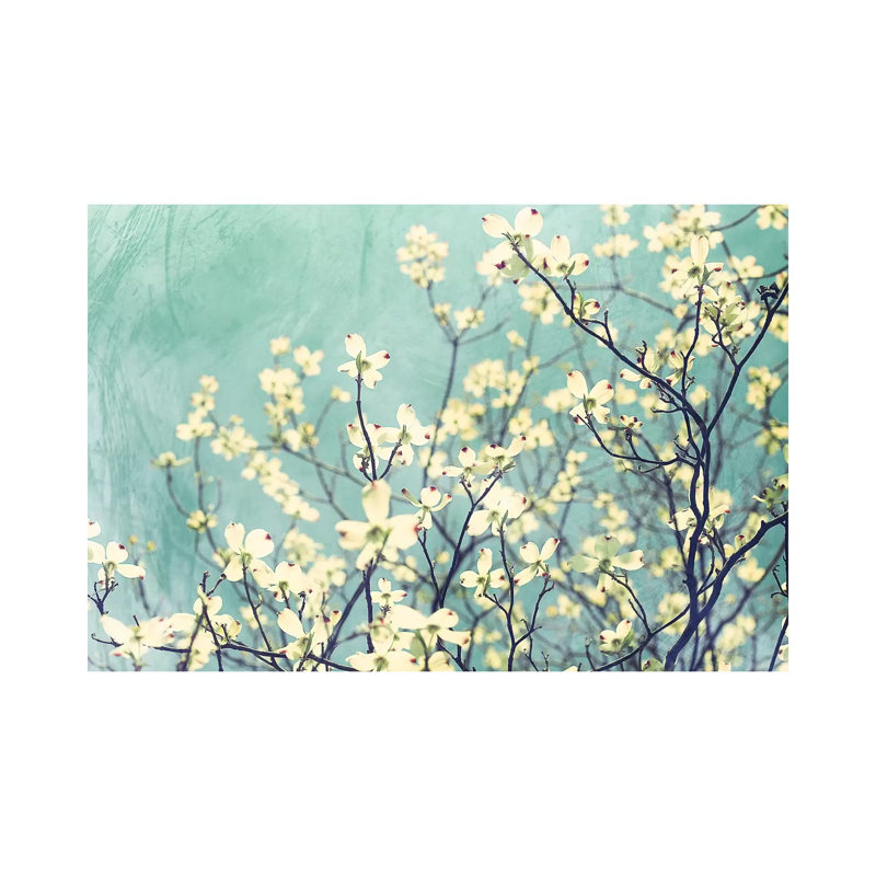 Pure 1 Piece Wrapped Canvas Wall Art, 20.32cm H x 30.48cm W