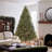 Jersey Fraser Fir Tree with Clear Lights-93593408