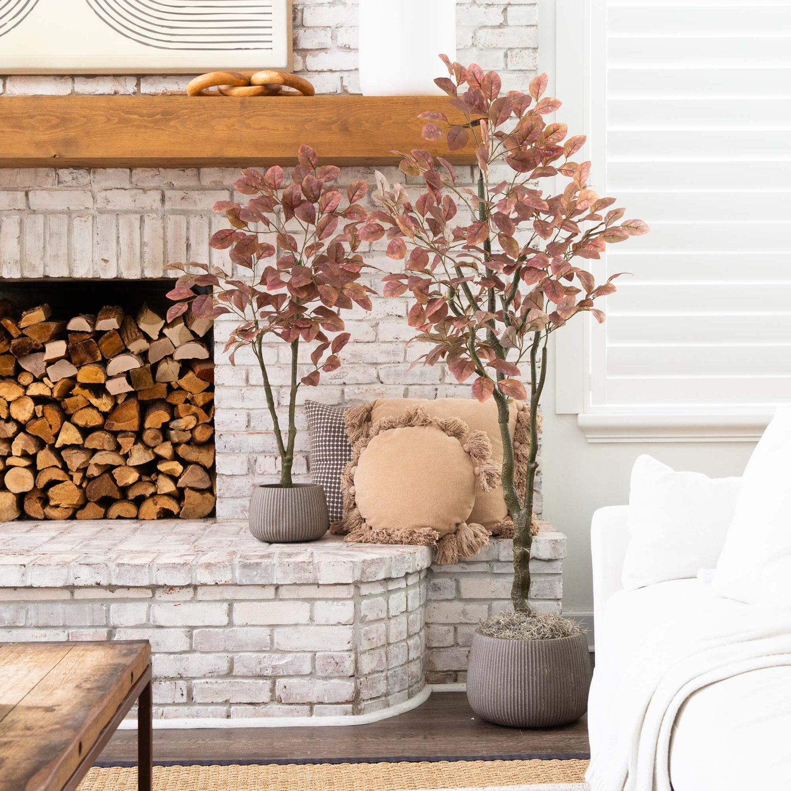 72" Dogwood Tree in Nursery Pot