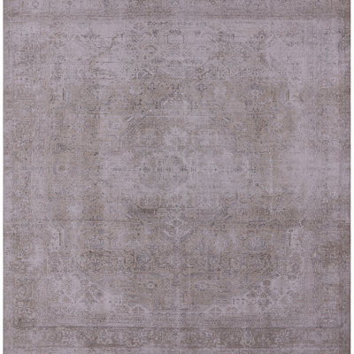 Oriental Indoor Rug