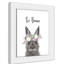 Le lapin est courage-48187586-48187581