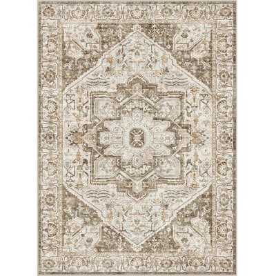 Oriental Area Rug