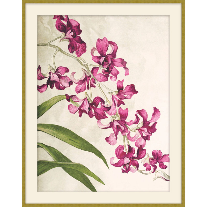 Jewel Blooms 4 Print, 23.5" H x 19.5" W