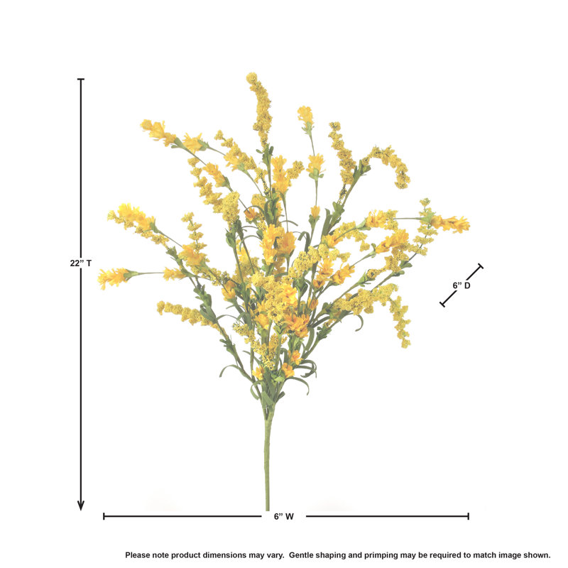 22 po Clover Berry Bush, Jaune