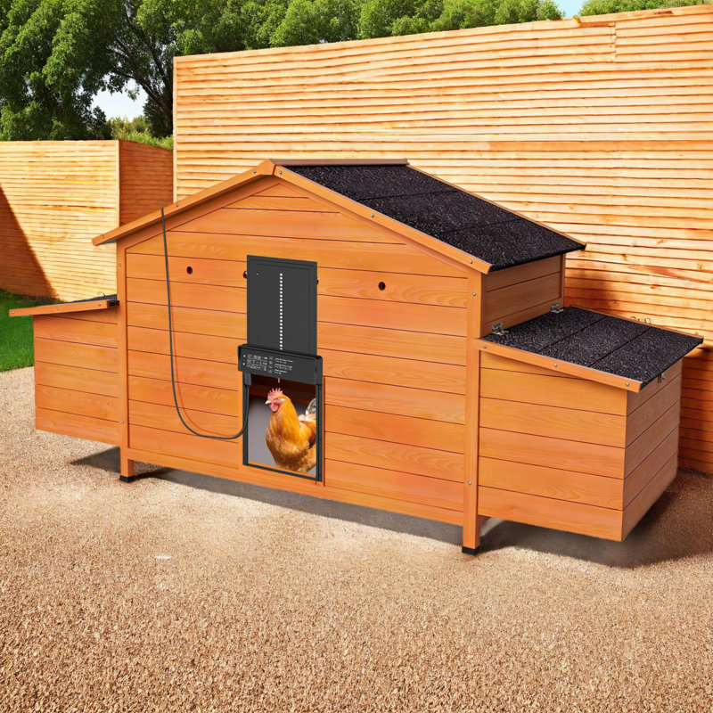 Automatic Chicken Coop with Solar Door, Weatherproof, Ventilated, 2 Nesting Boxes, Timer & Light Sensor