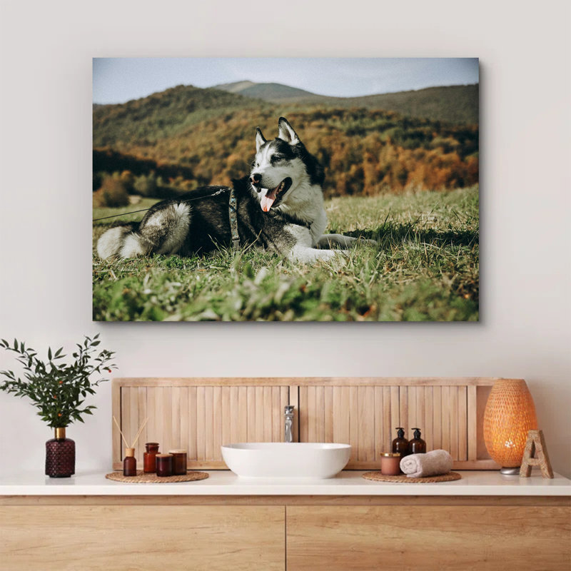 Husky Lying Down in Grass, 8" H x 12" W