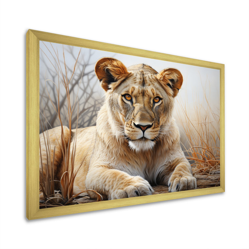Africa Lioness Power I On Canvas Print, 34" H x 44" W x 1.5" D, Gold Single Picture Framed
