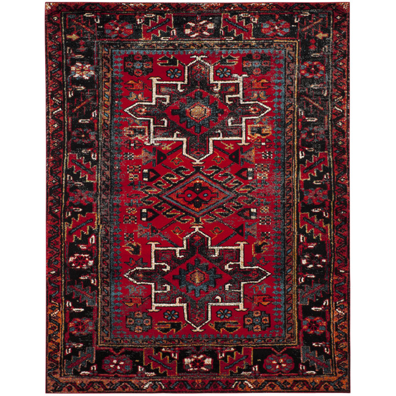 Amaniya Vintage Hamadan Southwestern Rug - Durable & Stylish