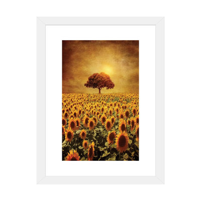 «Lone Tree and Sunflowers Field» par Viviana Gonzalez - impression d'art graphique