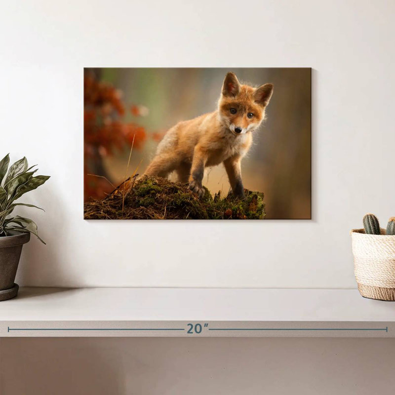 Brampt bébé forêt renard, H 8 po x l 12 po