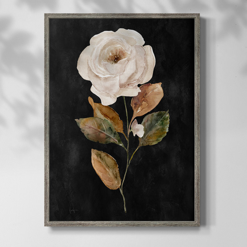 «Botanical on Black Wash II», reproduction encadrée - bois massif 49988, H 15 po x l 12 po