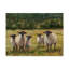 « brebis family i », peinture sur toile tendue-302213533