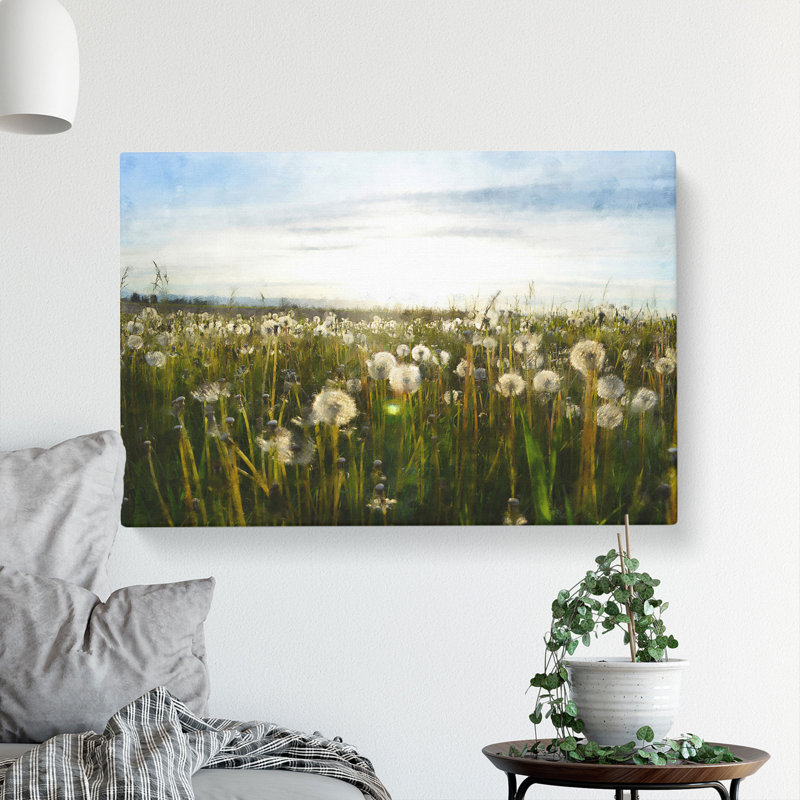 Dandelion Field - Wrapped Canvas Print, 35cm H x 50cm W x 3cm D