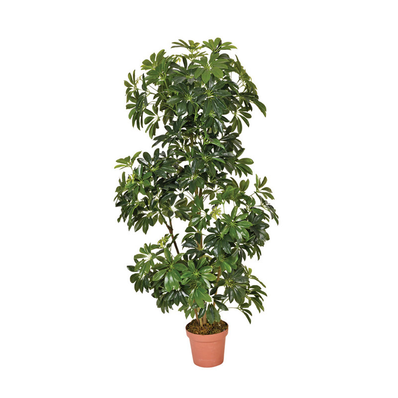 20 cm H Faux Foliage Plant in Plastic Pot