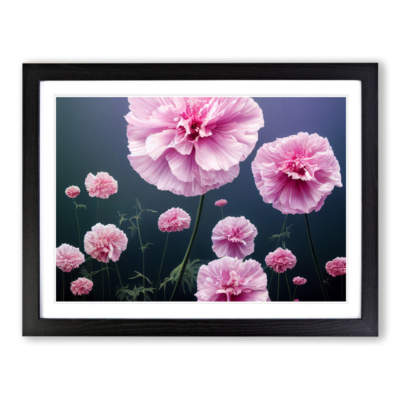 Gleeful Carnation Flowers - Single Picture Frame Print, 46cm H x 64cm W x 2cm D, Black